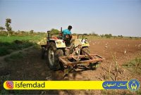 اجرای بیش از ۳۵۰۰ طرح کشاورزی توسط مددجویان اصفهانی